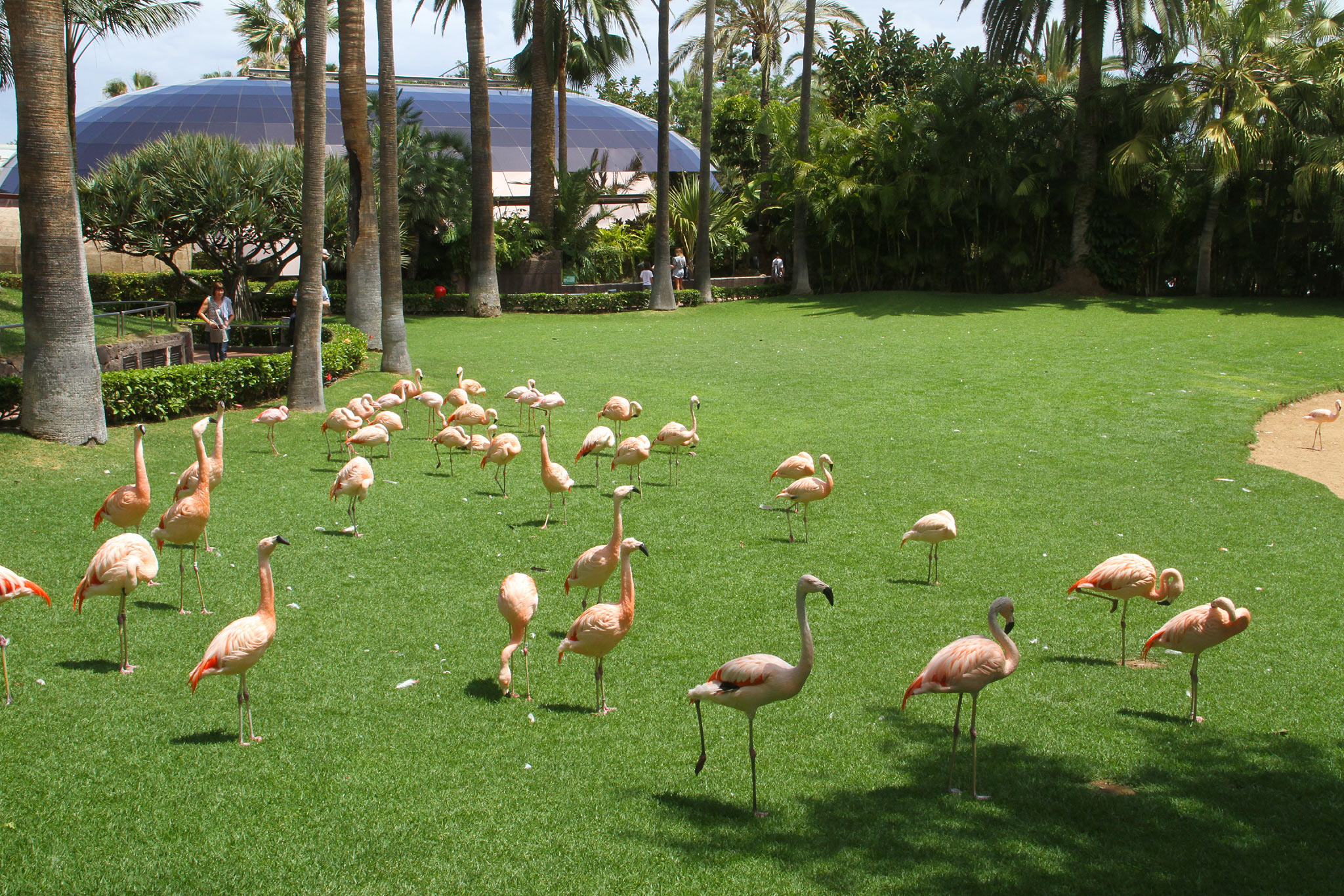 Loro Parque, Punta Brava, Tenerife